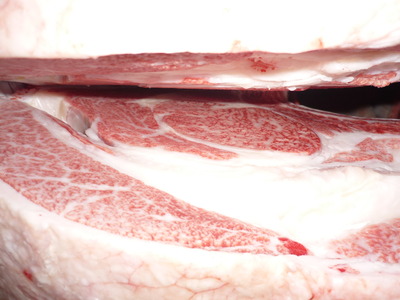 ͥ�ɾޡ�090���Ĺ��ʭ�