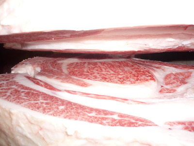 Í¥Îɾޡ¡110º´Æ£¹×¡