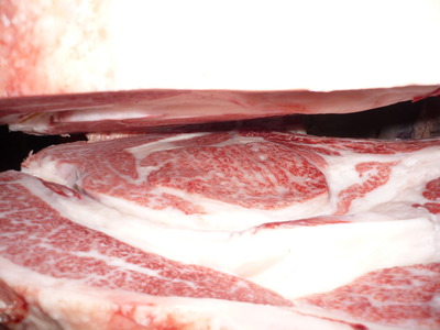 ͥ���ޣ���17ʿ���