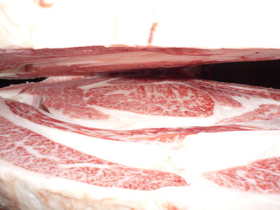 ͥ�ɾ�19ʿ���