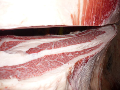 ͥ�ɾޡ�087(��)�����ܻ���