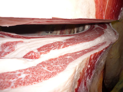 ͥ�ɾ�149��ƣ�Ҿ쭢