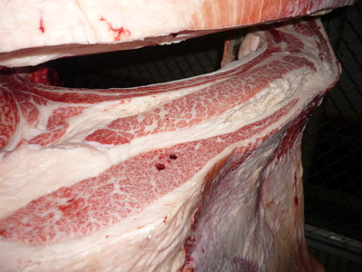 ºÇÍ¥½¨¾Þ126ê²ÚÀîËÒ¾ì¢