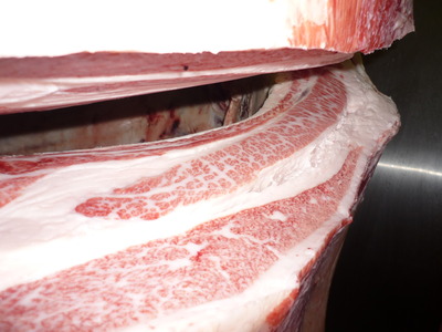 ͥ���ޣ���33(��)�����Ҿ쭢