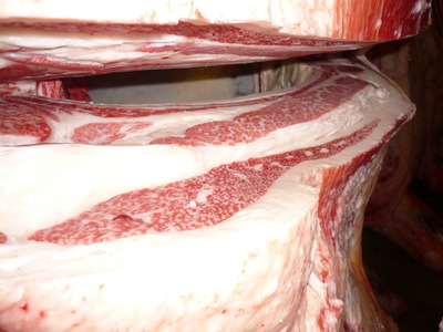 ͥ�ɾޡ�79�����Ҿ쭢