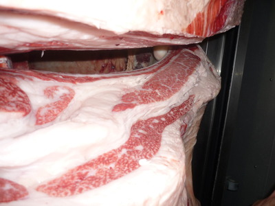 Í¥Îɾޡ¡063Âç¾ìÏÂÌé¢