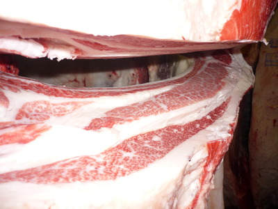 ͥ�ɾޡ�144�����ɰ쭢