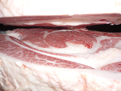 ͥ�ɾޡ�054����Įͭ���