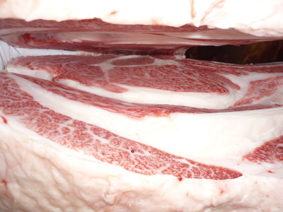 ͥ�ɾޡ�079�Ṿ�Ҿ쭡