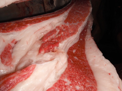 Í¥½¨¾Þ2ÀÊ¡¦¿¹ÅÄÂìÉ×¢