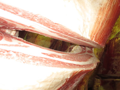 20201106.143ߧ߷�ܻ���