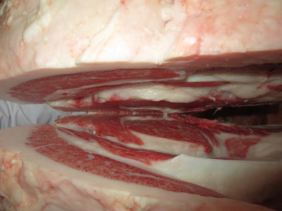 20201106.141�𸫭�