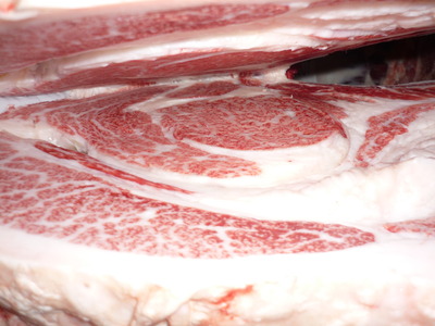 ��ͥ���ޡ�5006��ƣ�Ҿ졡��