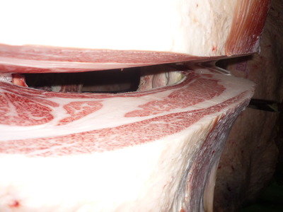 Í¥½¨¾Þ¡¡087¸ÅÂôϽբ