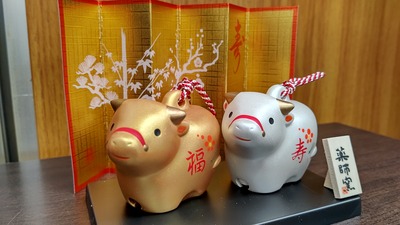 CENTER_0001_BURST20201228163231262_COVER