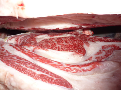 �侩��77̤��ե����ୡ