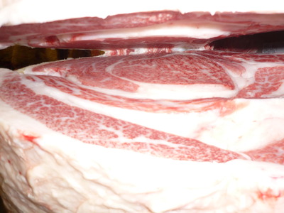 ͥ����1�ʡ�087��ƣ�׭�