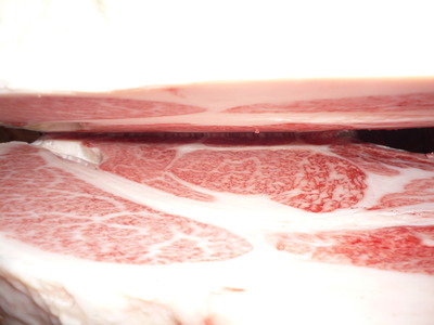 ̾����5101���筡