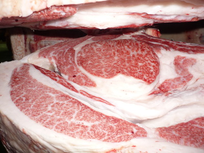 Í¥Îɾޡ¡089ËÈÅÄËÒ¾ì¡