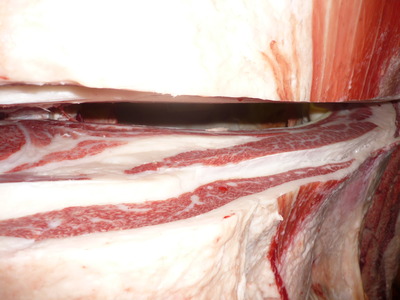 ��ͥ���ޡ�091�Ļ��ûέ�