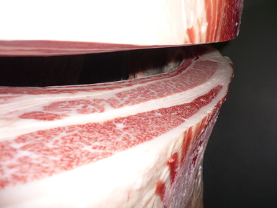 ��ͥ����06(��)�����Ҿ쭢