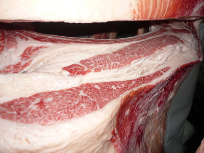 Í¥½¨¾Þ£±ÀÊ116·ª¸¶´´É×¢