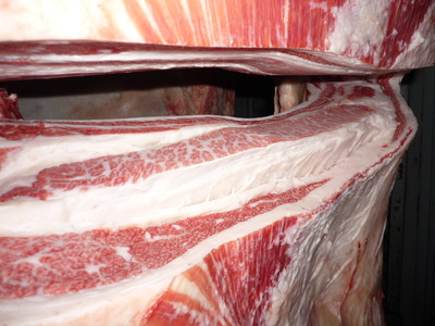 Í¥½¨¾Þ£²ÀÊ¡¡080º´Æ£¹¨Ìï¢