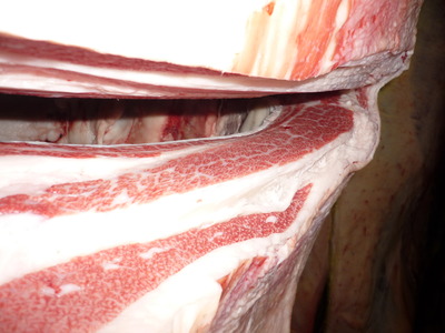 Í¥½¨¾Þ£²ÀÊ134ݯ°æµ®Çî¢