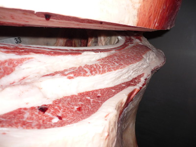 Í¥ÎɾÞ32ÅçÅÄÃé¾¼¢