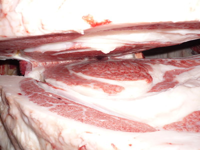 Í¥Îɾޡ¡087½ÂÂôÀ¿¡