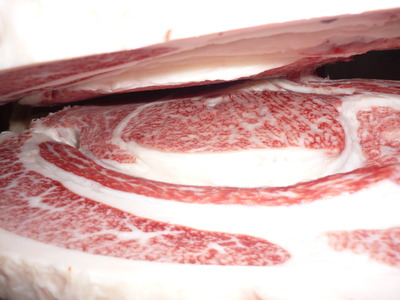 206�����ϢPF���Į�Ҿ쭡