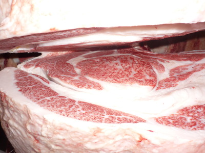 ͥ�ɾޡ�171�Ṿ�Ҿ쭡