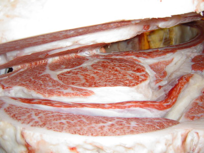 ͥ����1�ʡ���¼��