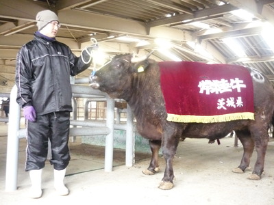 ��Φ����������� 006