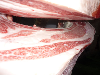 Í¥Îɾޡ¡099Àкê¶Ñ¢