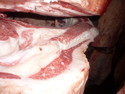 ͥ�ɾޡ�161�����龼��