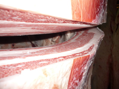 ͥ�ɾ�114�������­�