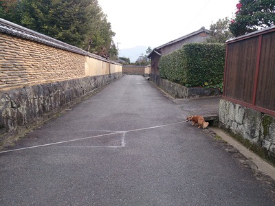 3af8b6b5.jpg