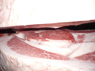 ͥ���ޣ��ʡ�052�����μ���