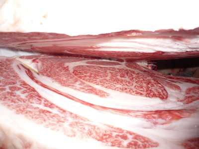 ͥ���ޣ���33(��)�����Ҿ쭡