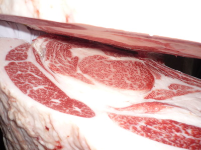 5374���ѵ�����ꭢ