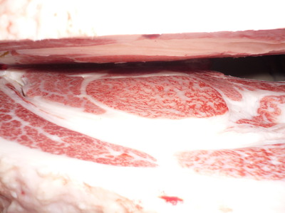 ͥ����2�ʡ�182����δ��