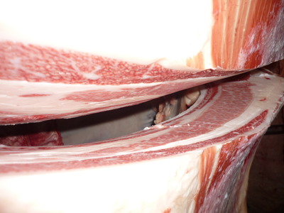 ͥ�ɾ�5111(��)��ͳ��