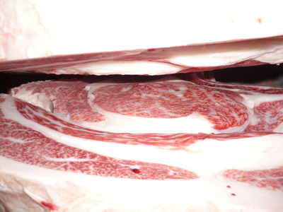 ͥ�ɾ�149��ƣ�Ҿ쭡