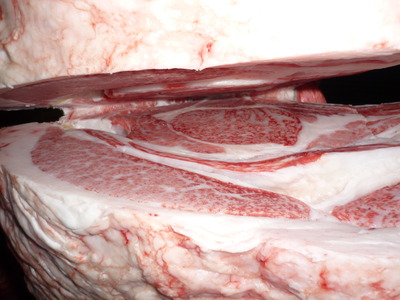 Í¥½¨¾Þ£±ÀÊ¡¡089Àкê¶Ñ¡