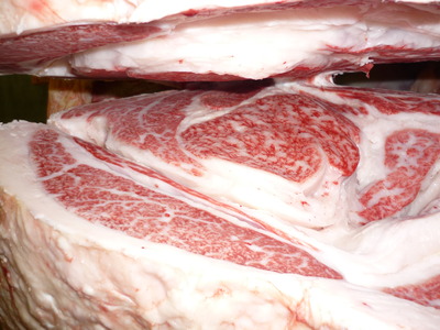 ͥ�ɾޡ�173��¼���Ļҭ�