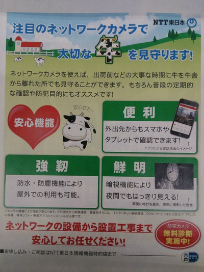 BlogPaint