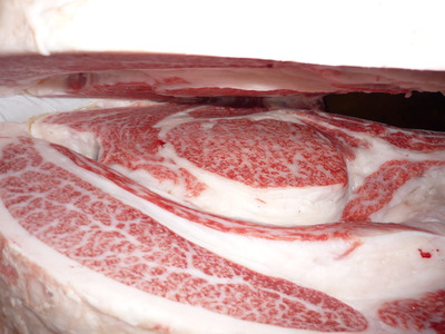 ͥ���ޣ��ʡ�075��¼���Ļҭ�