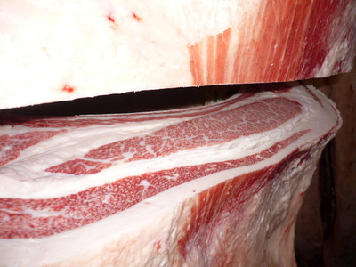 ͥ�ɾޡ�078����ˮͺ��