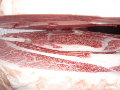 ͥ�ɾޡ�065��ƣ�Ҿ쭡